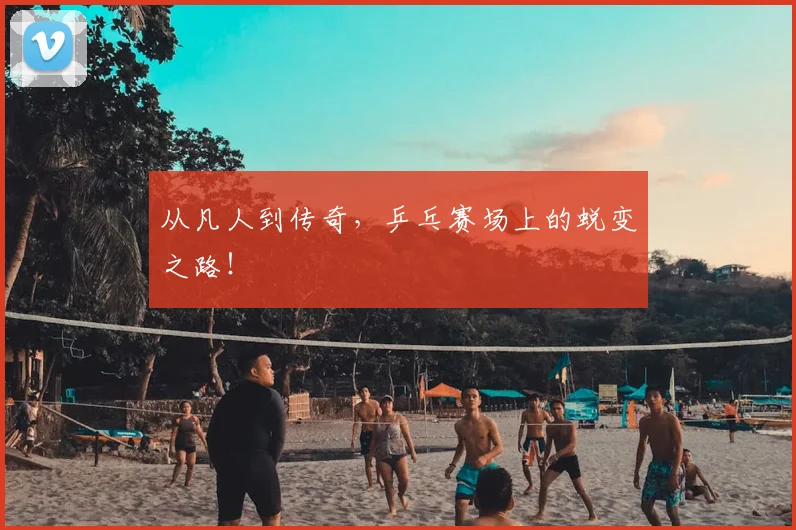 从凡人到传奇，乒乓赛场上的蜕变之路！