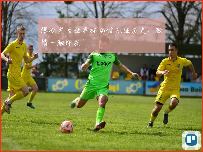 爆冷黑马世界杯场馆见证历史，激情一触即发！