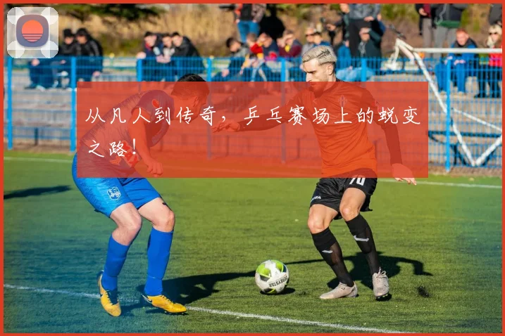 从凡人到传奇，乒乓赛场上的蜕变之路！